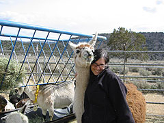 llamalove.jpg (18795 bytes)