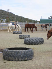 tires.jpg (11416 bytes)